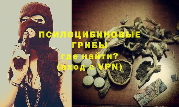 мдма Каменка