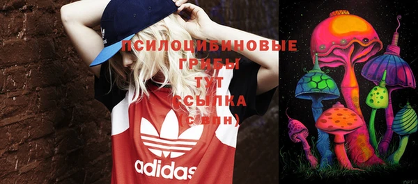 амфетамин Каменногорск
