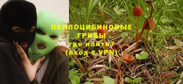 мдма Каменка